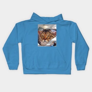 Rocket in my Pocket (kitty looking out snowy window) Kids Hoodie